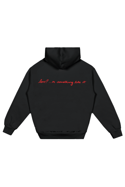 love? ...or something like it Hoodie